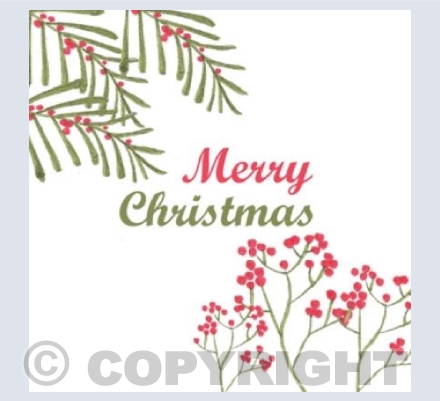 Christmas Berries