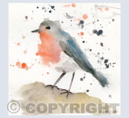 'Cotswold Robin'