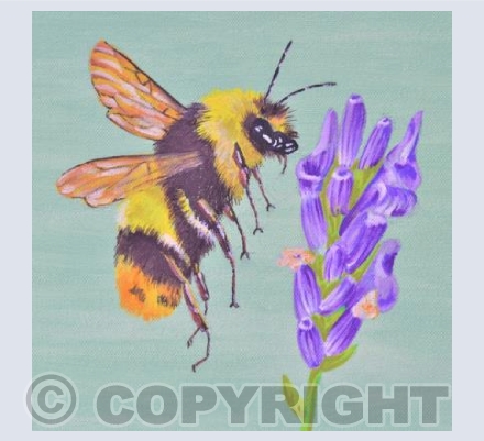 'Cotswold Bee'