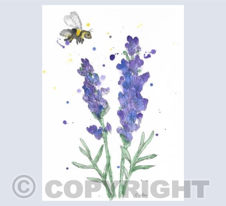 'Lavender & Bee'