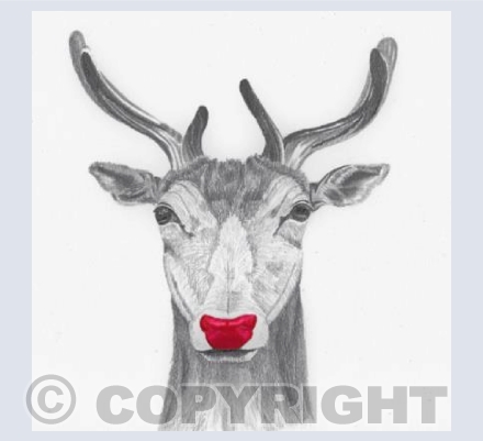 'Red Nosed Reindeer'