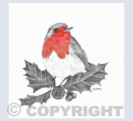 'Christmas Robin'