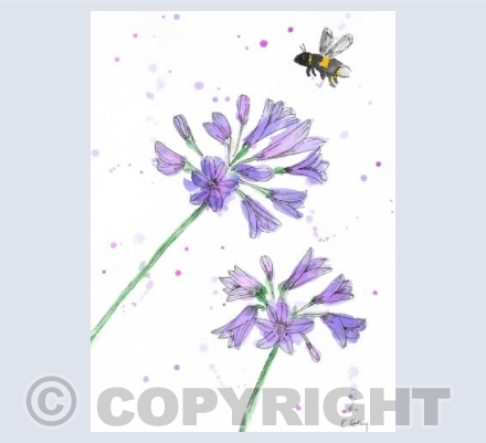 'Agapanthus & Bee'
