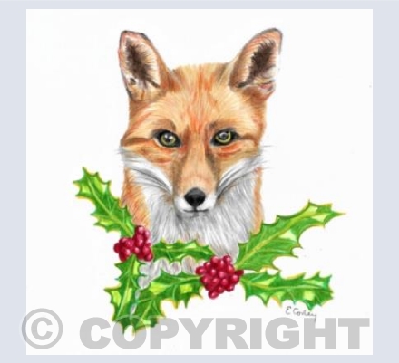 Red Fox & Holly