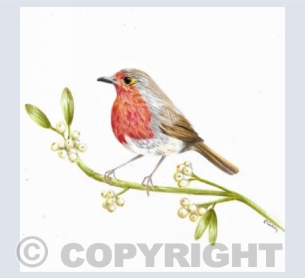 Robin & Mistletoe