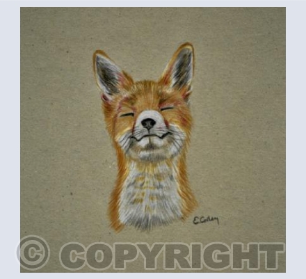 Happy Fox