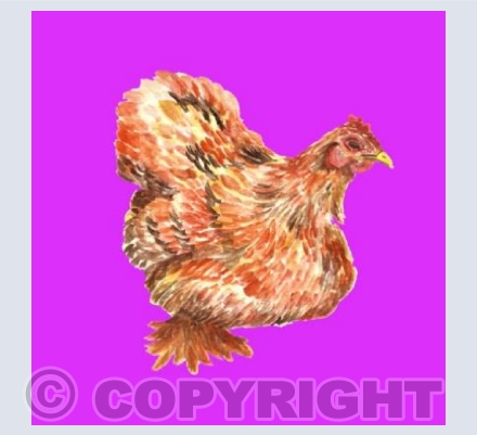 Farmyard Collection HEN