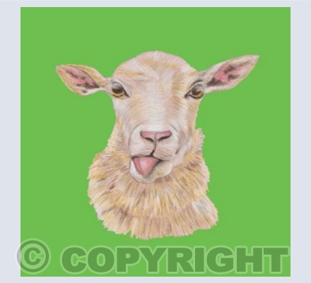 Farmyard Collection SHEEP
