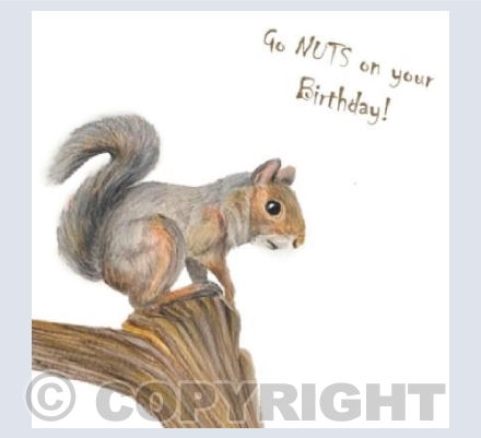 Go Nuts on your Birthday!