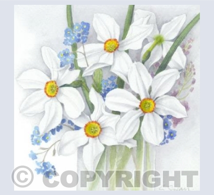Narcissus and Forget-me-nots