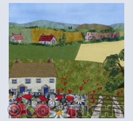 Dorset Poppy Fields