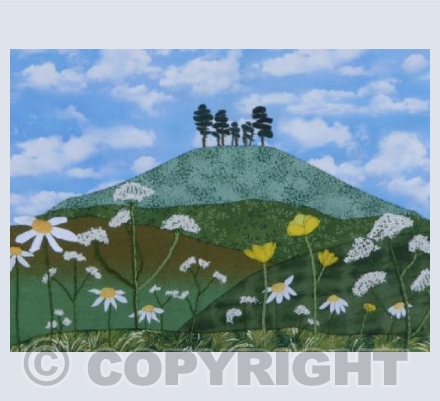 Springtime, Colmers Hill