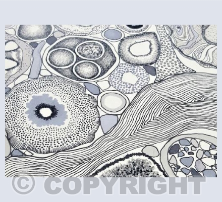 Inside Solitary Hotel