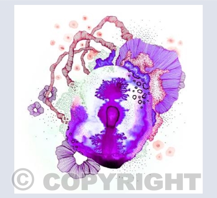 Exude Plum