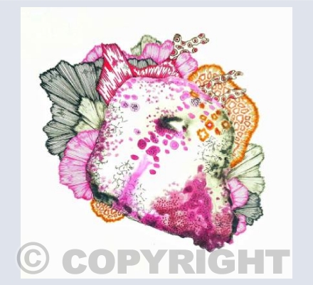 'When I went exploring...'