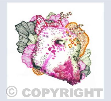 When I went exploring