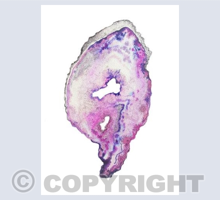 Purple Geode