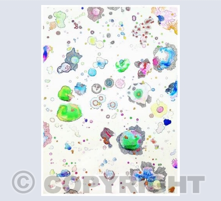 Under the microscope