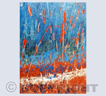 Beautiful Boats !!!!