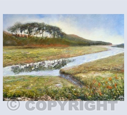 Budleigh Trees