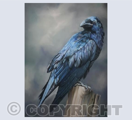 The Watcher 