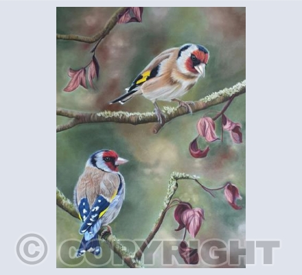 Goldfinches