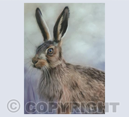 Young Hare Card