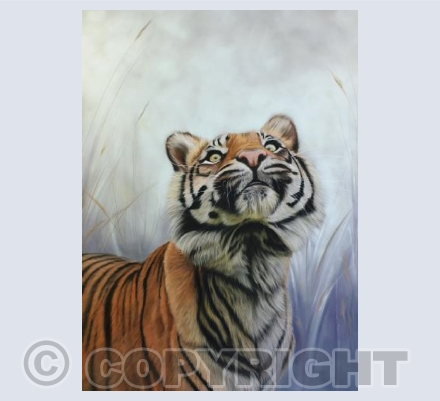 Tiger Prince