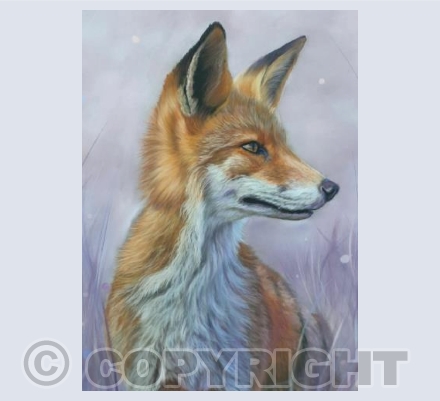 Foxy Lad