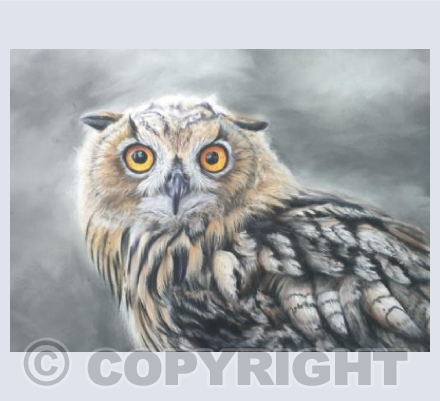 eagle owl 