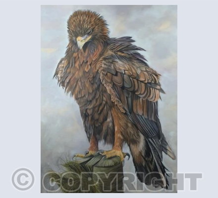 Eagle Card