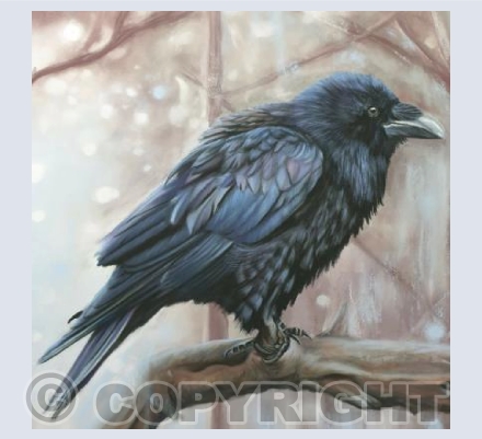 Braced Raven Card