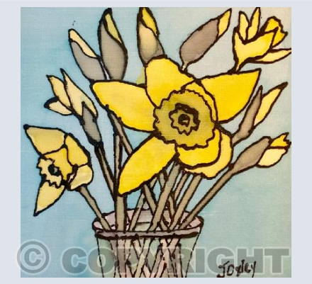 First daffodil