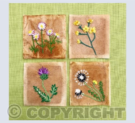 Wild flowers