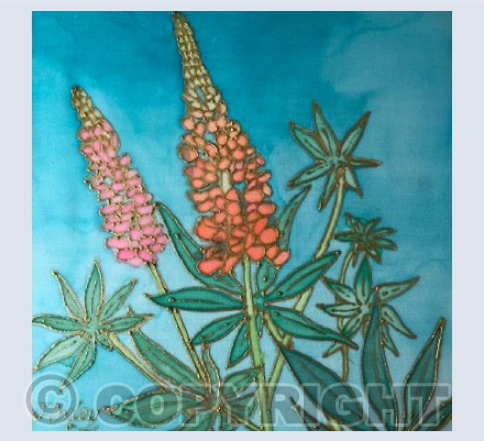 Lupins