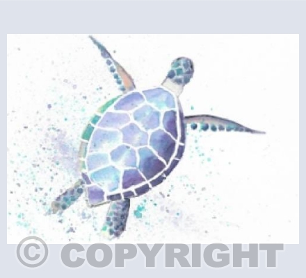 Turtle time too