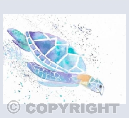 More Turtle time 