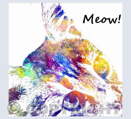 Meow!