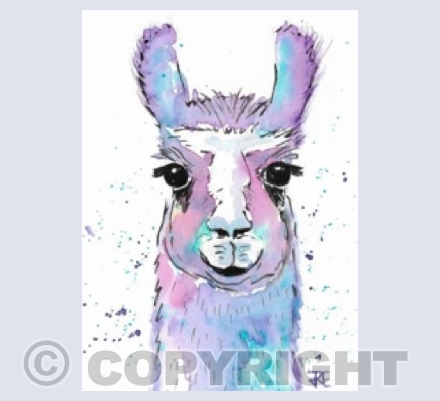Llama
