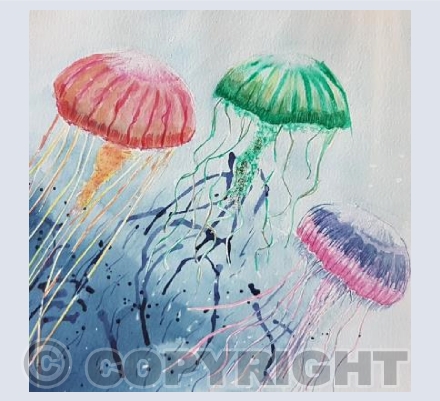Jellyfish