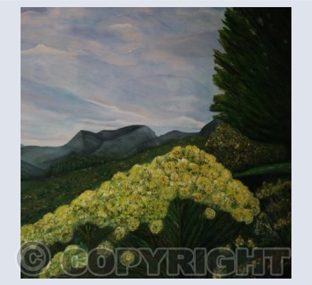 "Swart Berge" - South Africa 
