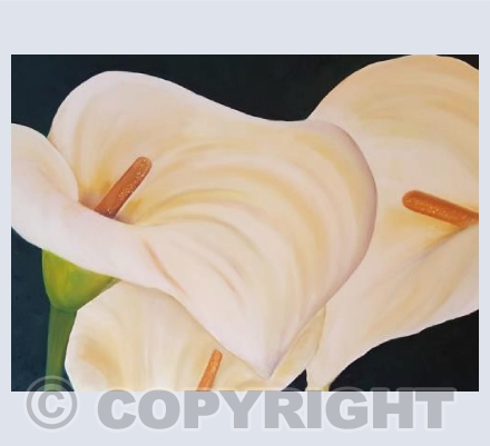 Lilies