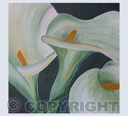 Lily
