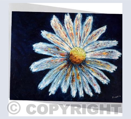 Daisy