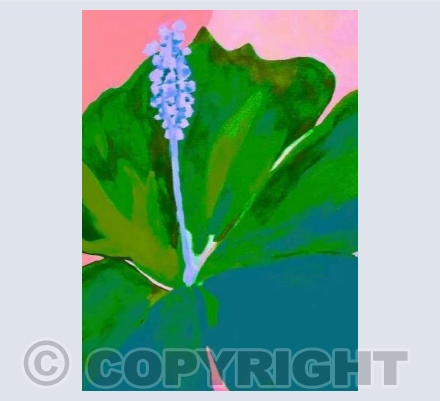 Lily in Apricot Green