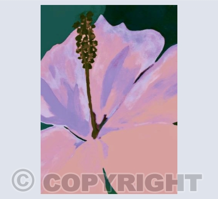 Lily in Pink and Green