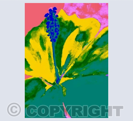 Lily in Green and Salmon