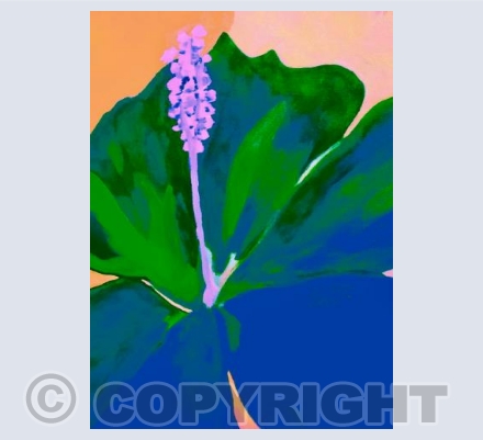 Lily in moss and ocean 