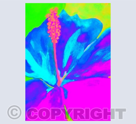 Neon Pink Blue Lily 