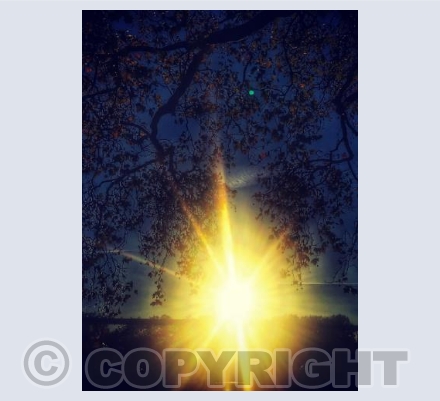 Sunshine through the trees